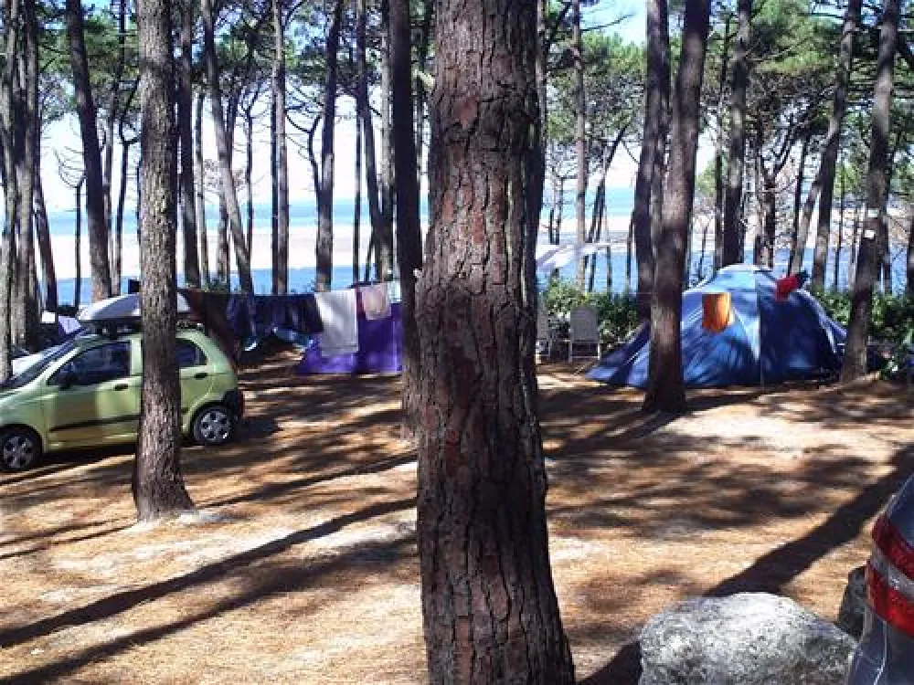 Yelloh! Village Panorama du Pyla