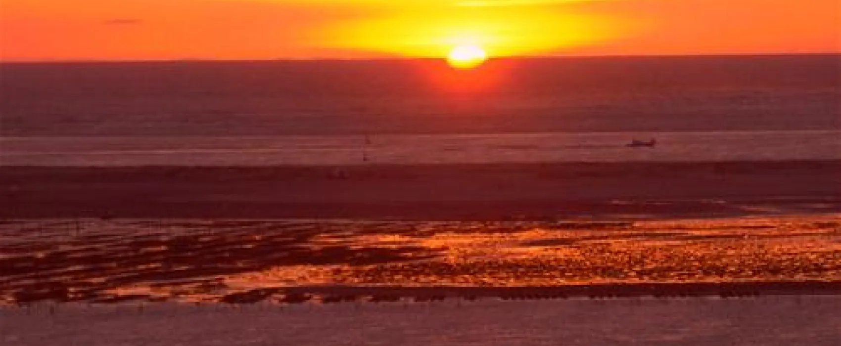 Yelloh! Village Panorama du Pyla