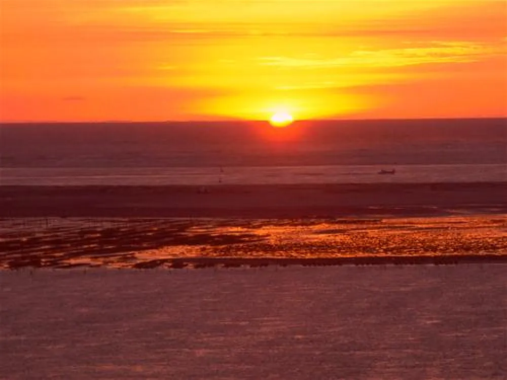Yelloh! Village Panorama du Pyla