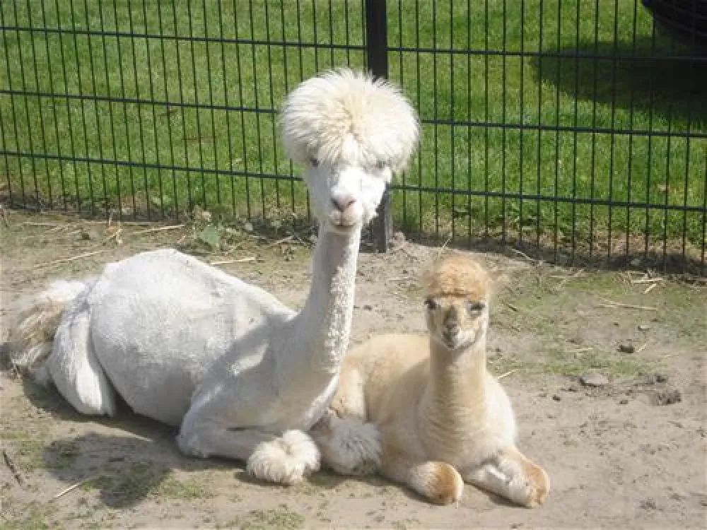 Recreatiecentrum De Vogel