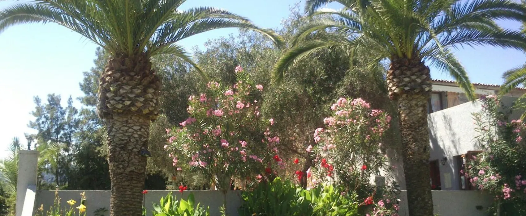 Camping aire naturelle Ficajola