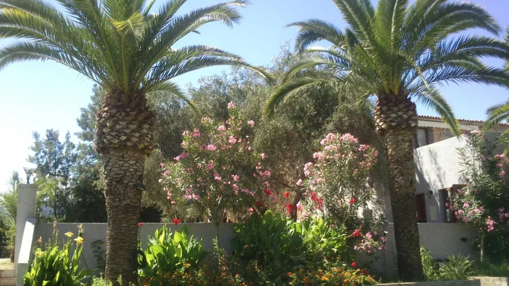 Camping aire naturelle Ficajola