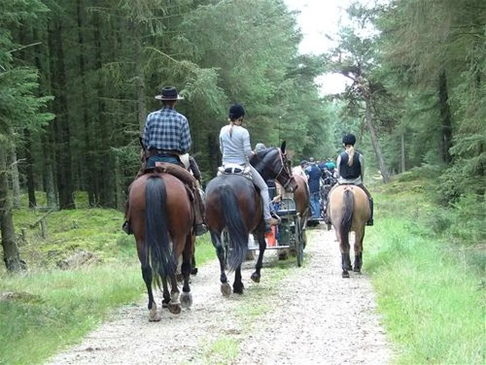 CampWest SportResort