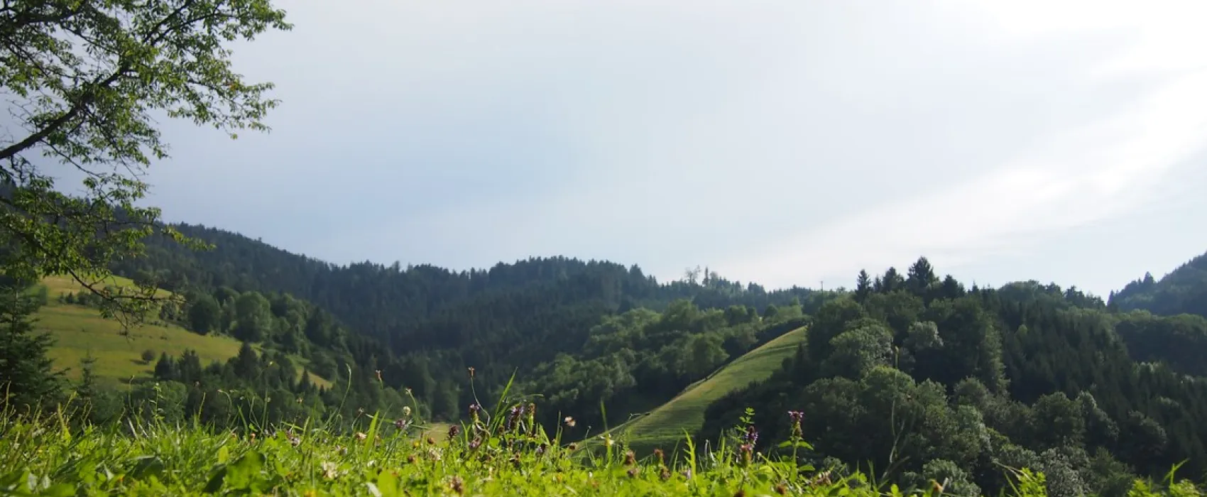 Trendcamping Wolfach