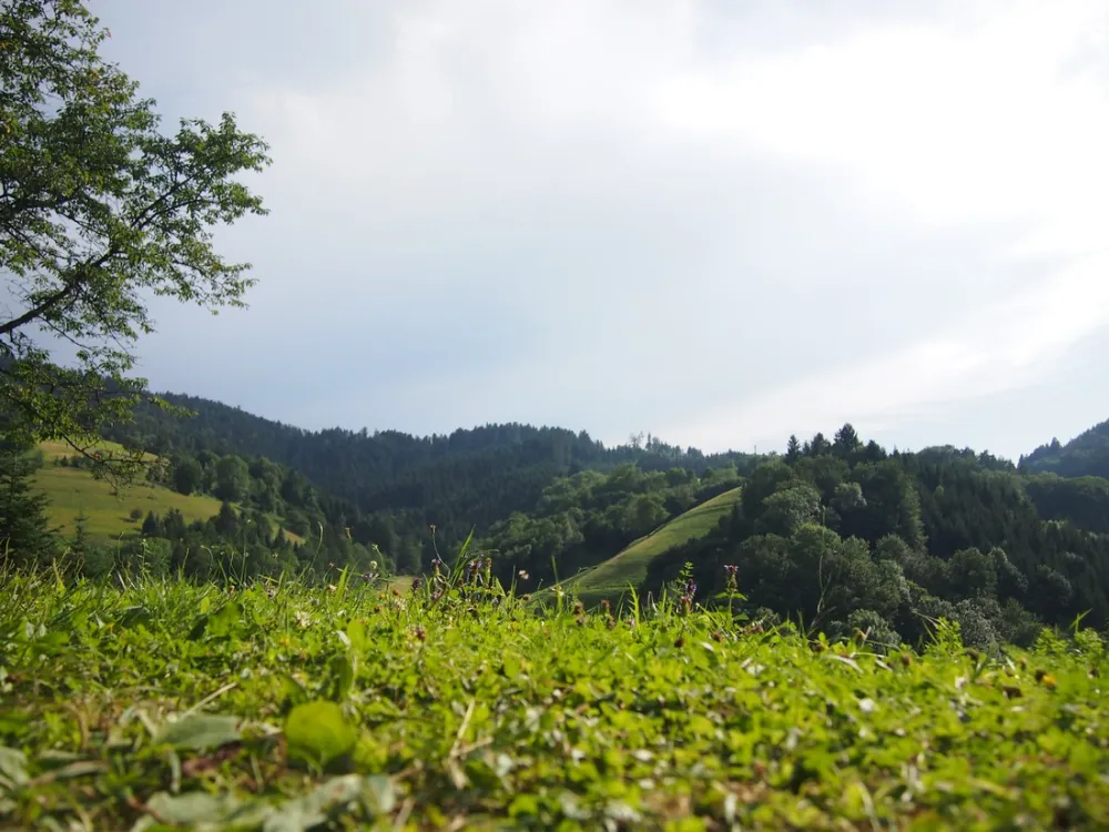 Trendcamping Wolfach