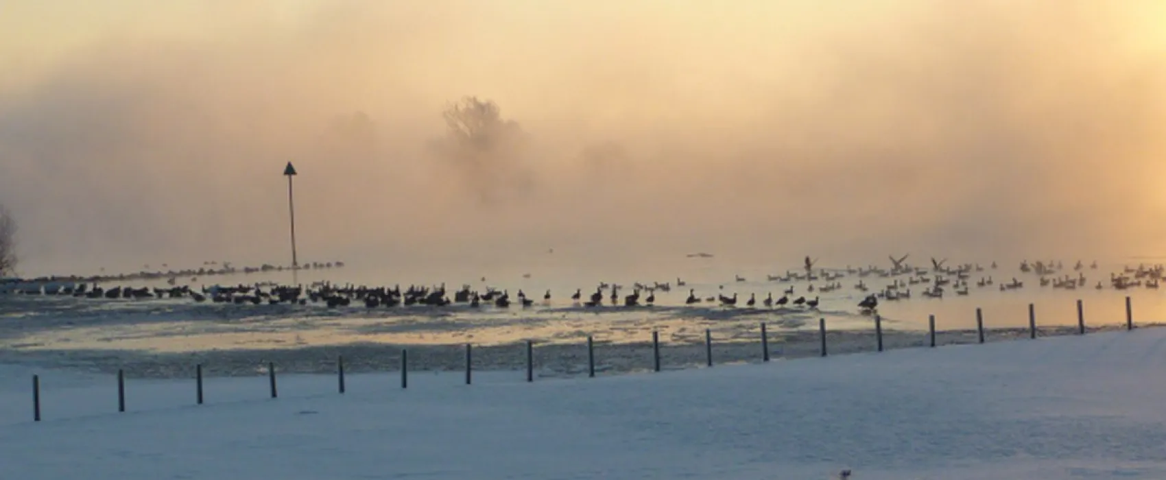 Camping de IJsselhoeve