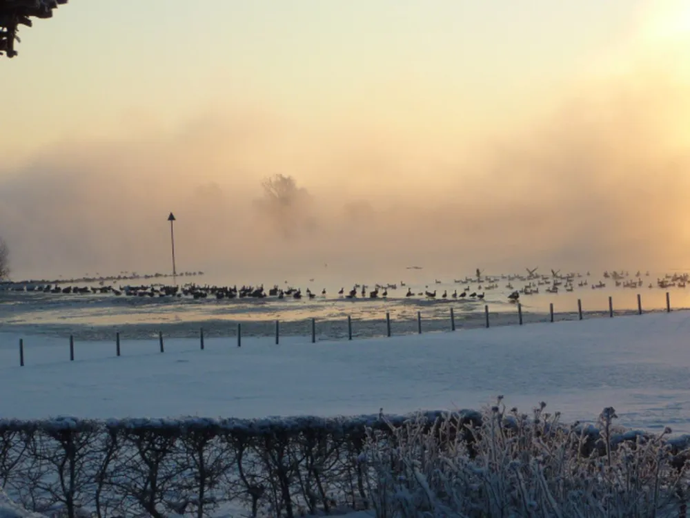 Camping de IJsselhoeve