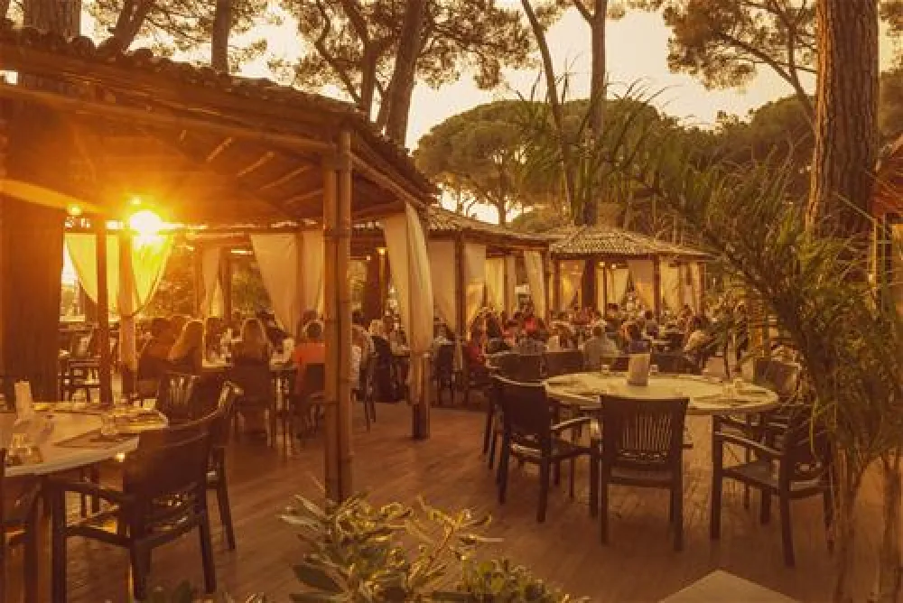 Camping Village Fabulous