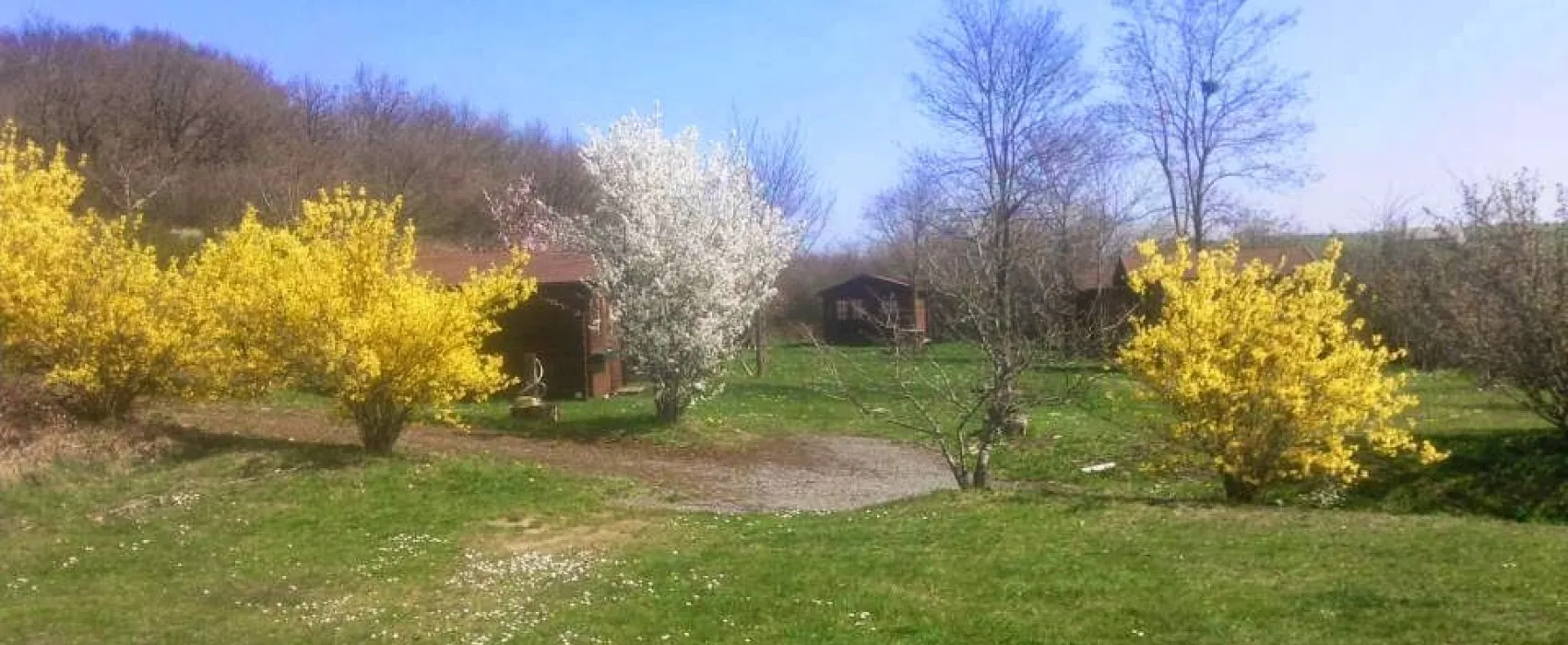 Camping Moto Route 99  