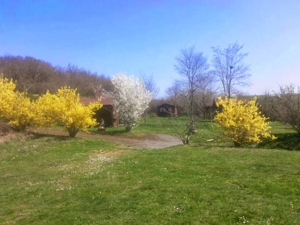 Camping Moto Route 99  