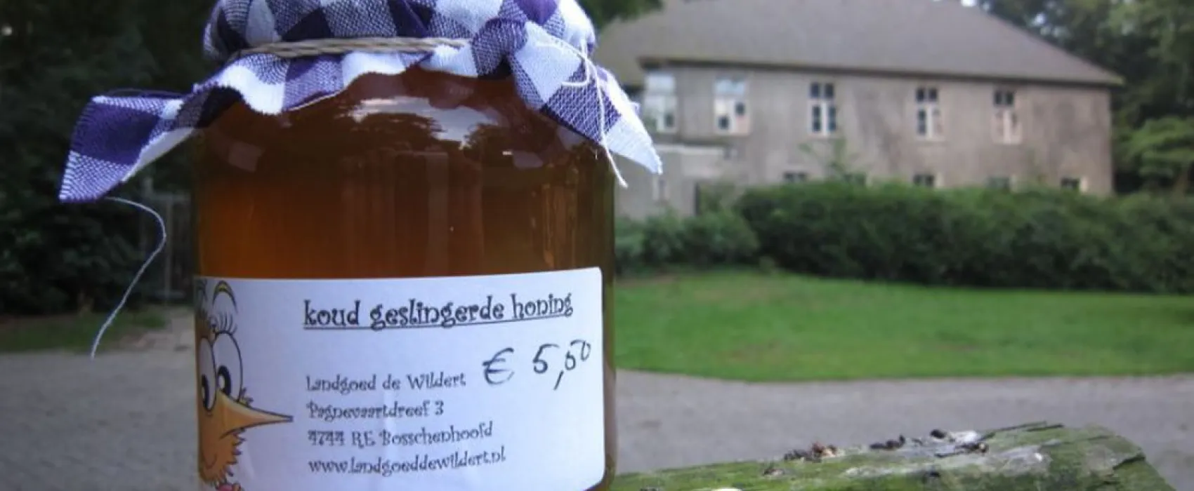 Camping Landgoed De Wildert