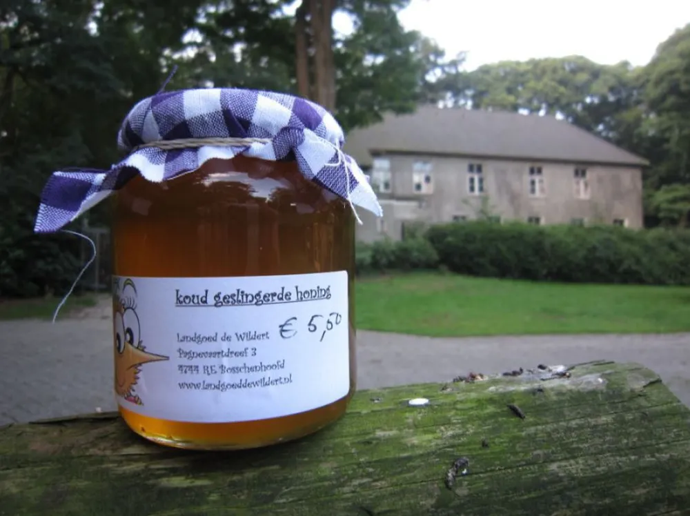 Camping Landgoed De Wildert