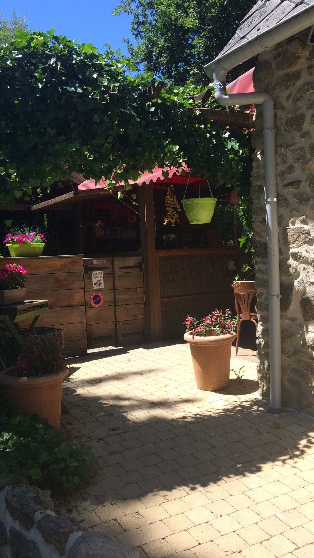 Camping aire naturelle Chantegril photo 4