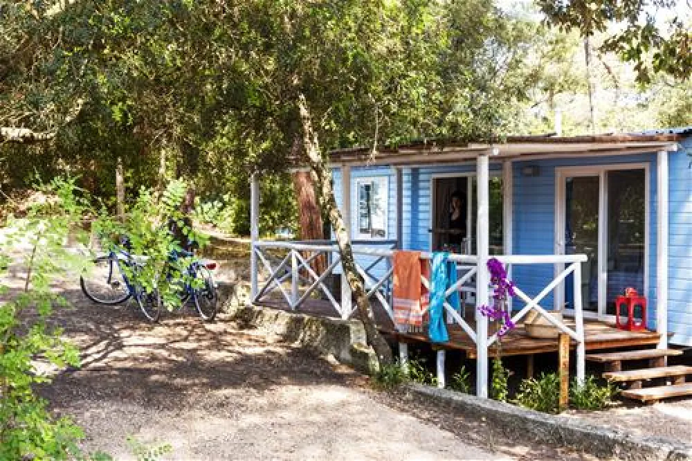 International Camping Etruria