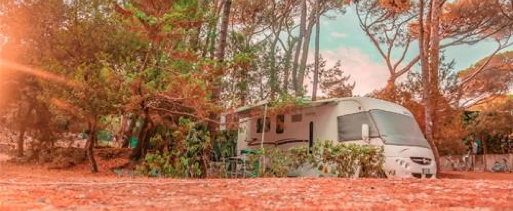 International Camping Etruria