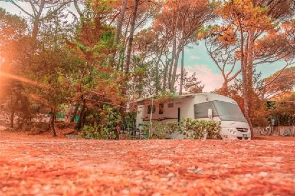 International Camping Etruria