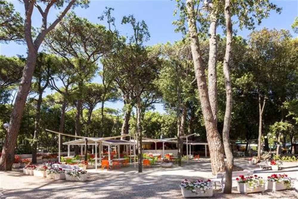 International Camping Etruria