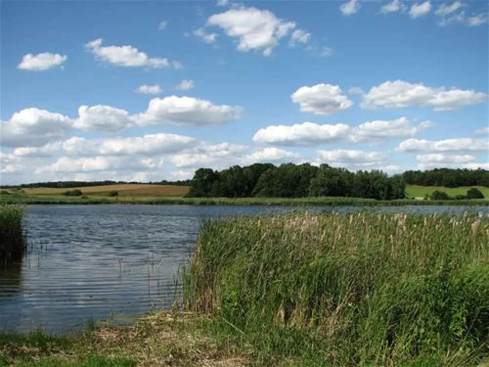 Campingfreunde Mutzschen/Roda e.V.