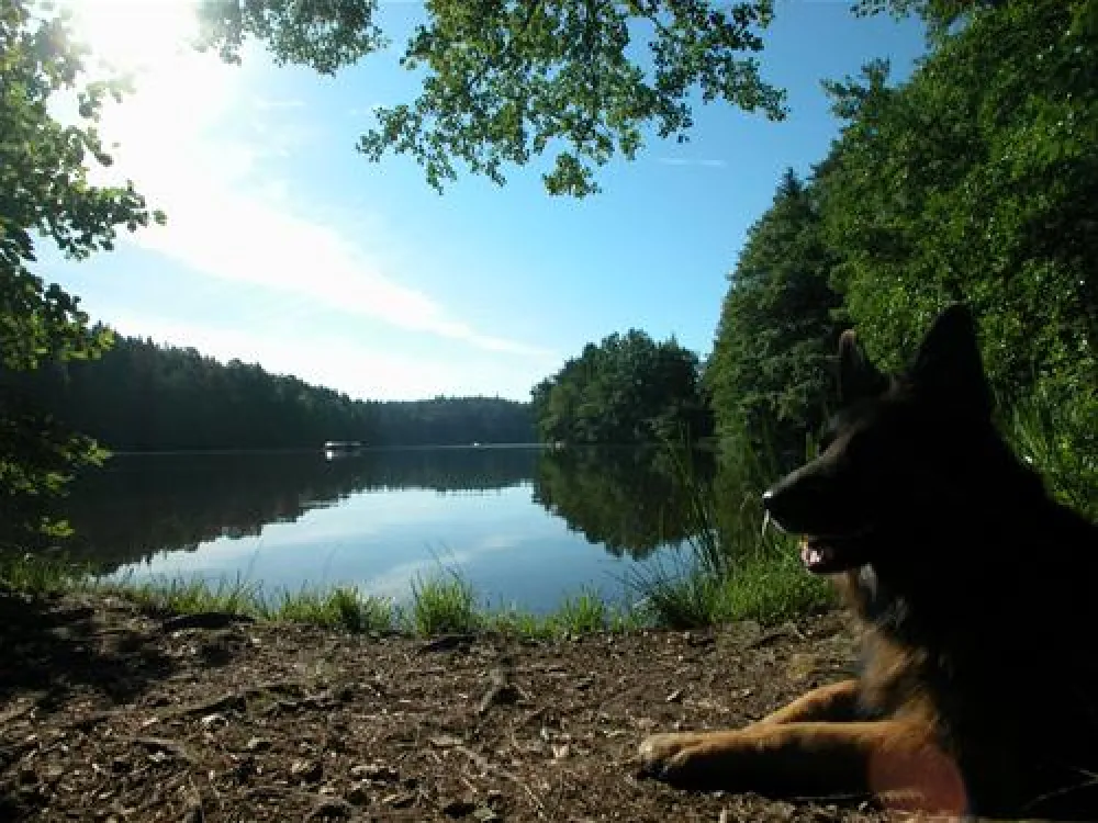 See-Camping Weichselbrunn