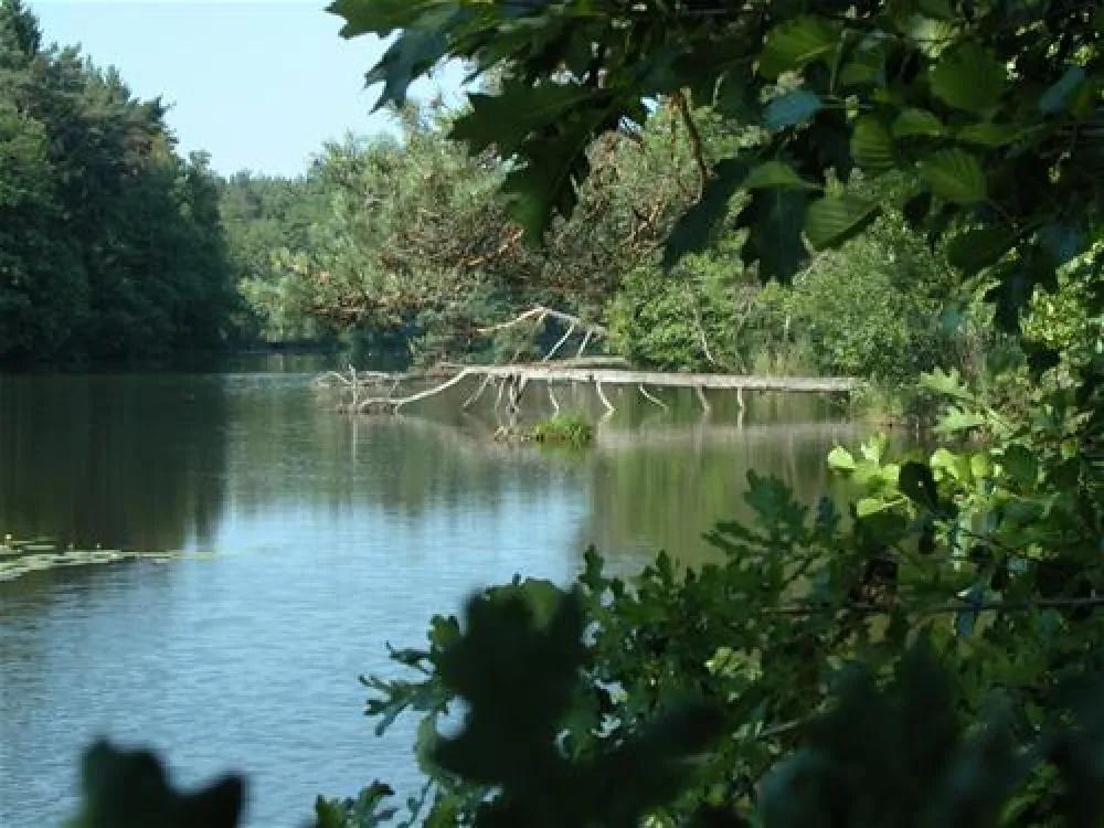 See-Camping Weichselbrunn