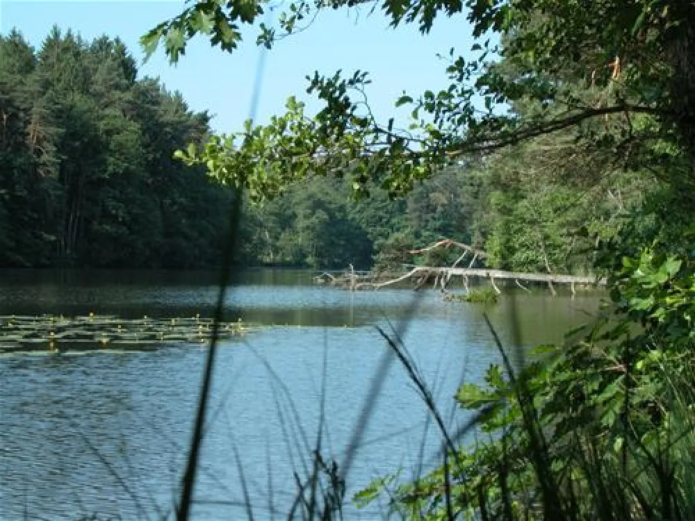 See-Camping Weichselbrunn