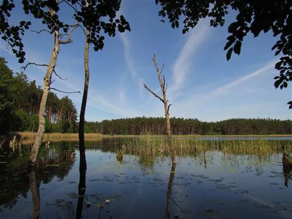 Camping zur hohlen Eiche