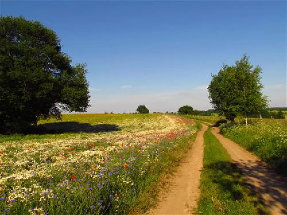 Camping zur hohlen Eiche