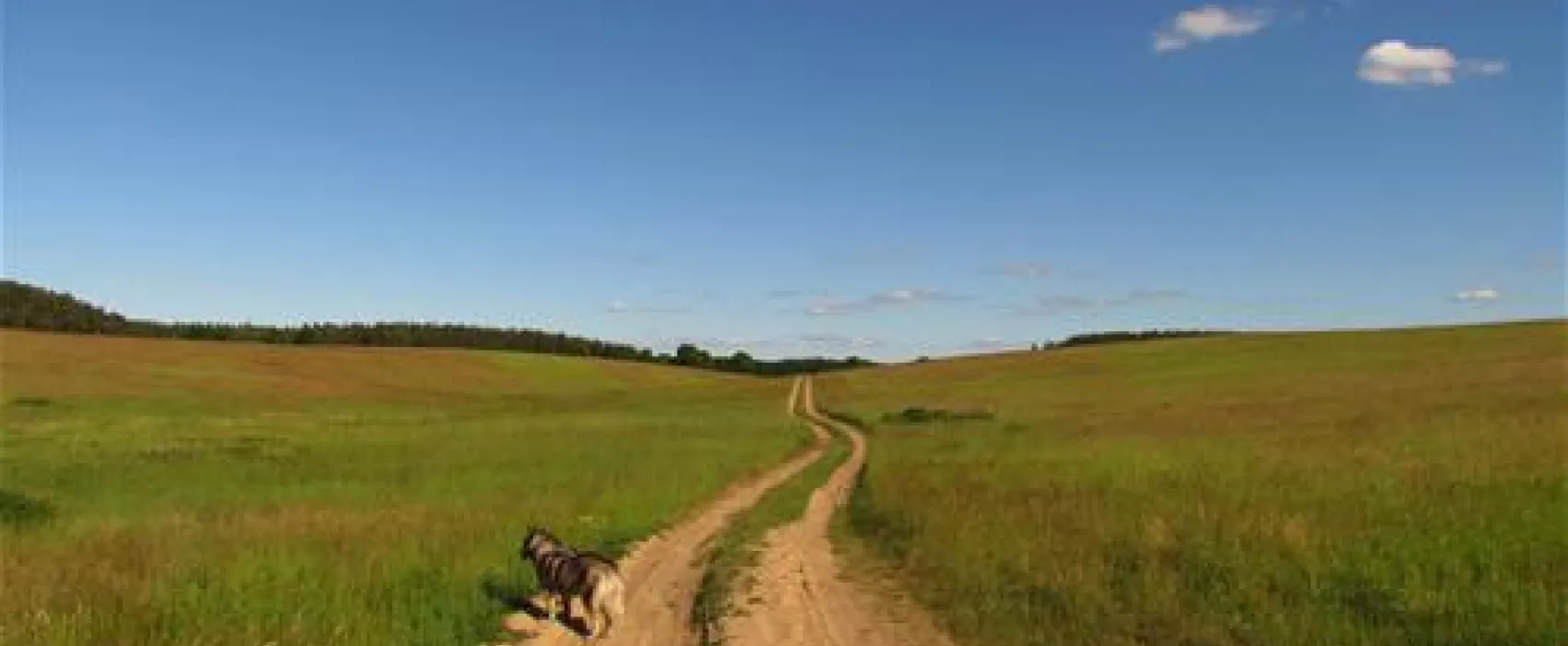 Camping zur hohlen Eiche