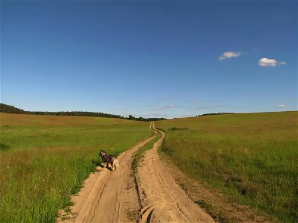 Camping zur hohlen Eiche