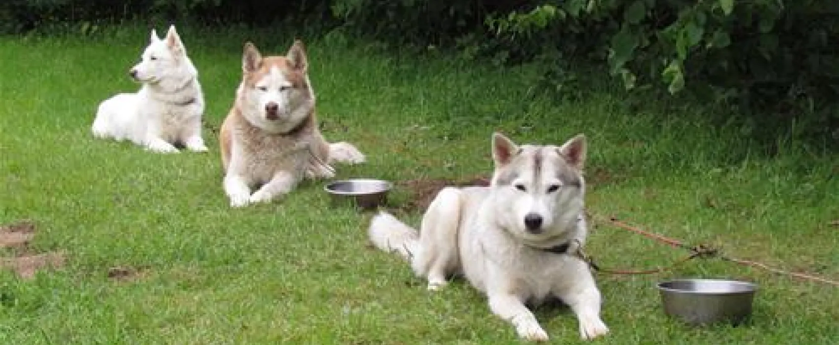 Camping zur hohlen Eiche