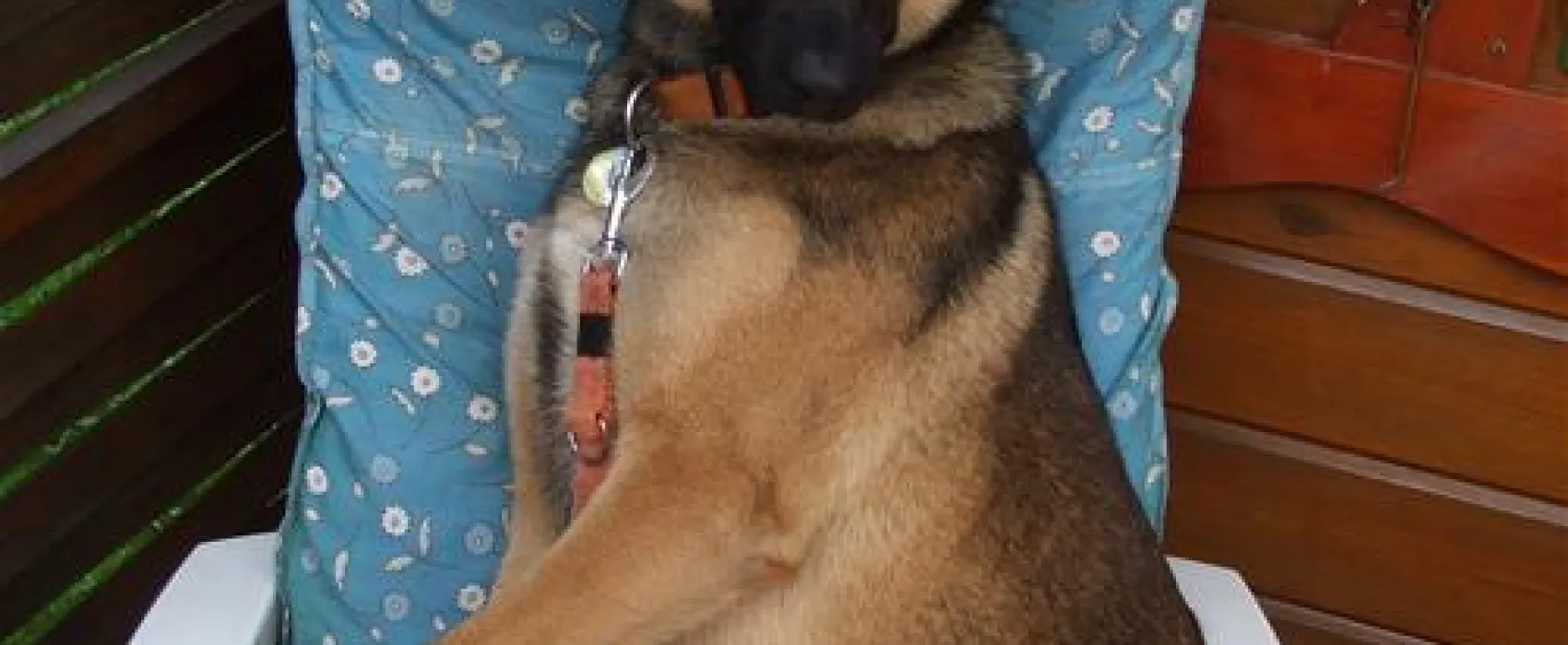 Camping zur hohlen Eiche