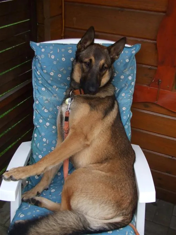 Camping zur hohlen Eiche