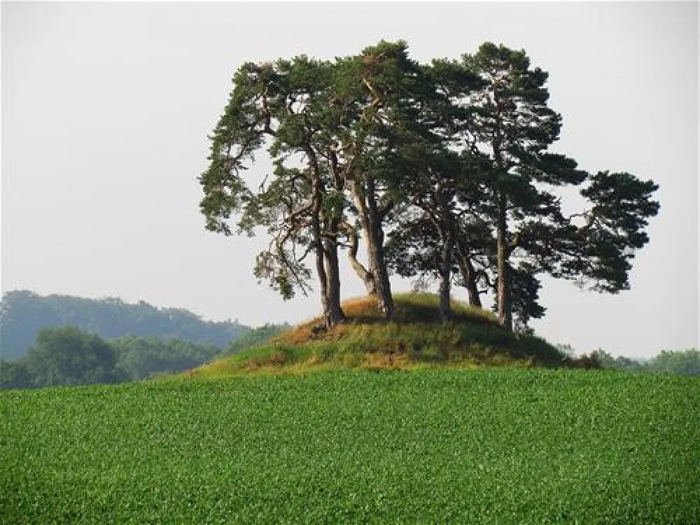 Camping zur hohlen Eiche