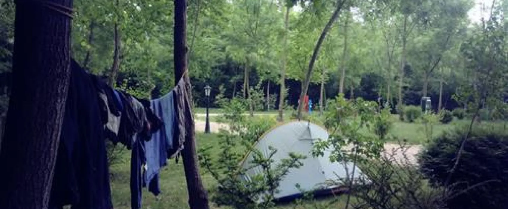 Camping Zasavica