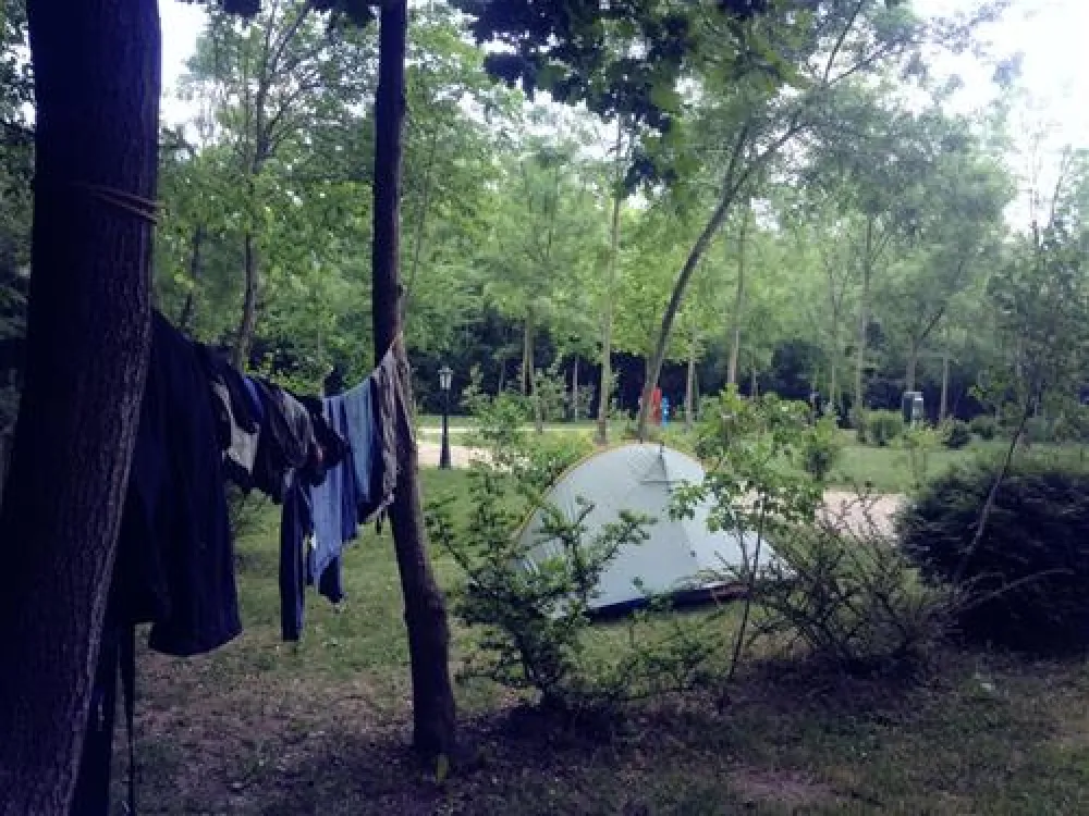 Camping Zasavica