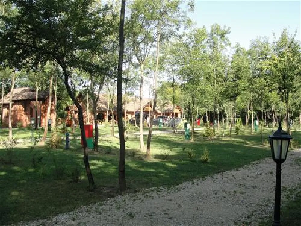 Camping Zasavica