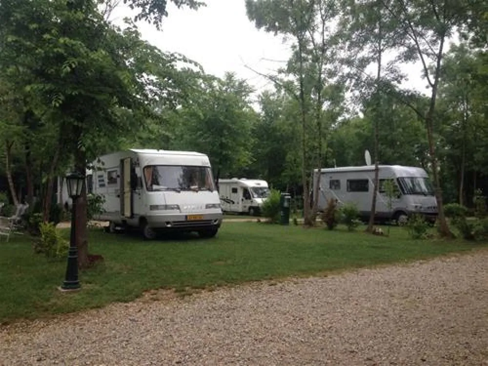 Camping Zasavica