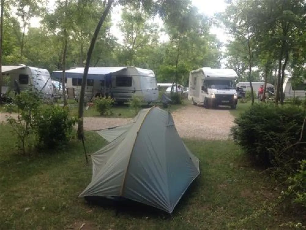 Camping Zasavica