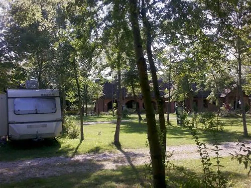 Camping Zasavica