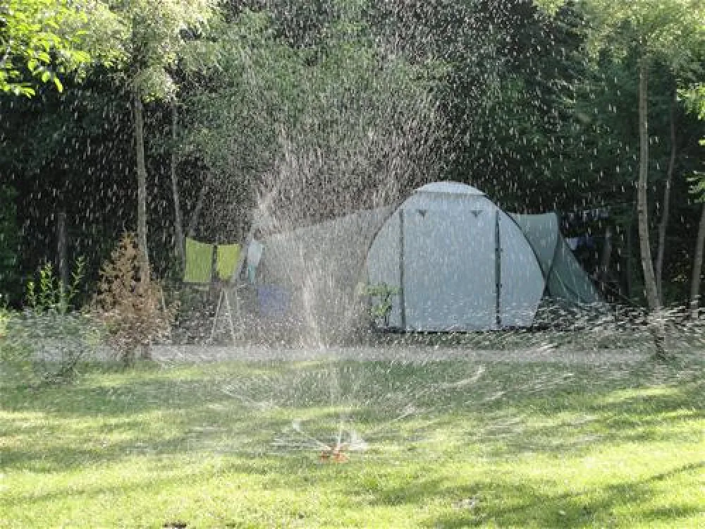 Camping Zasavica