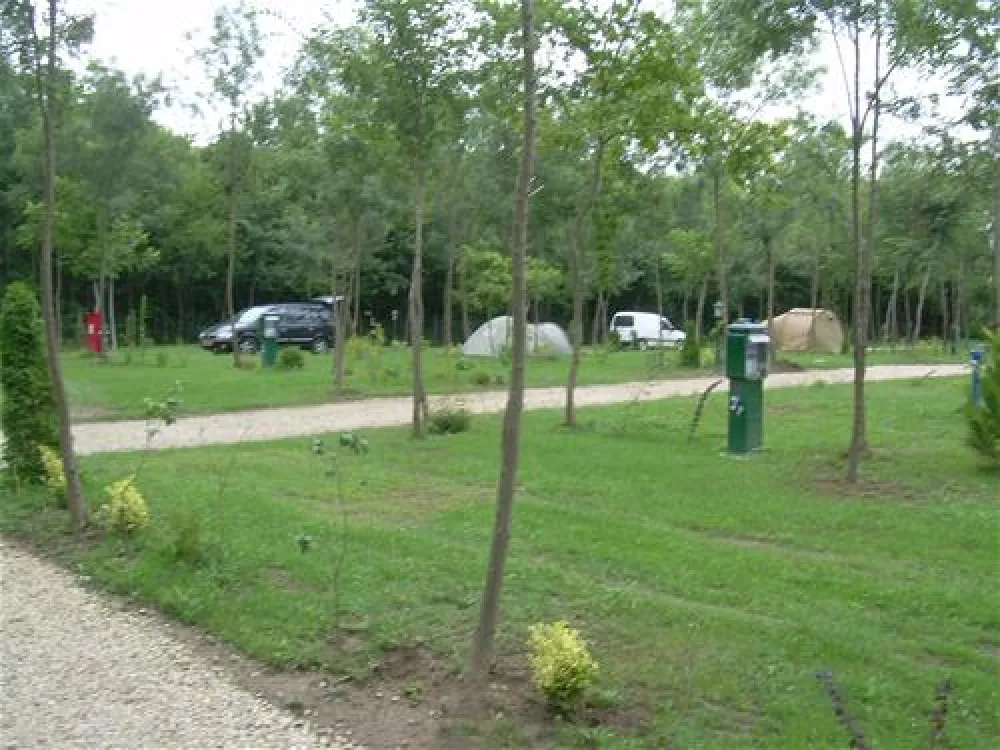 Camping Zasavica