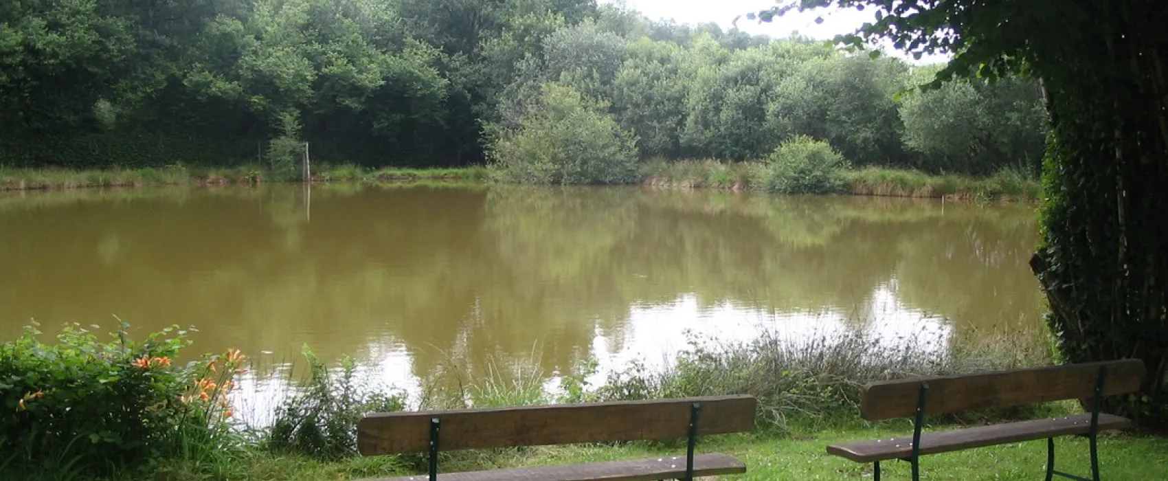 Camping Les Mesanges  