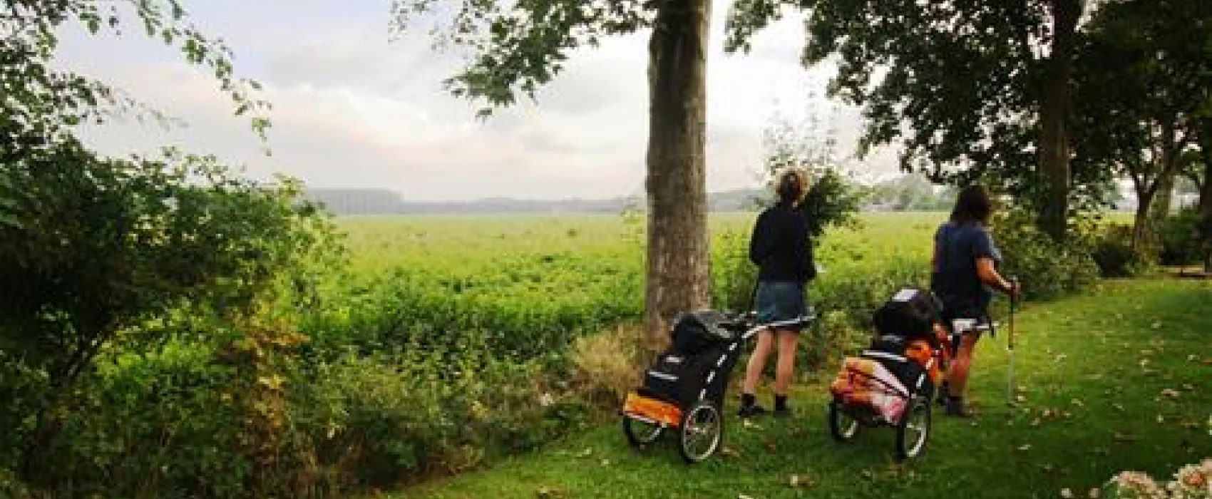 Natuurkampeerterrein Aan de Hoorndermeden