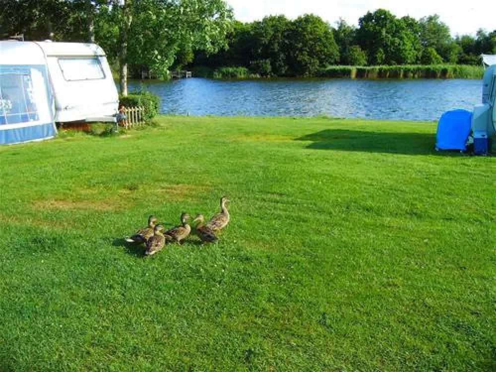 Camping De Kleine Wielen