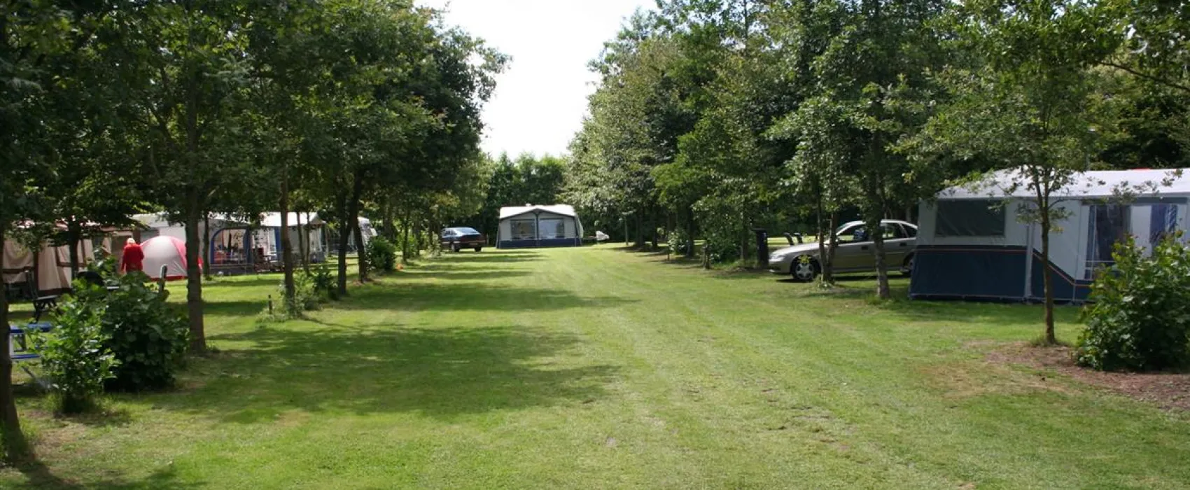 Camping De Drenthse Roos