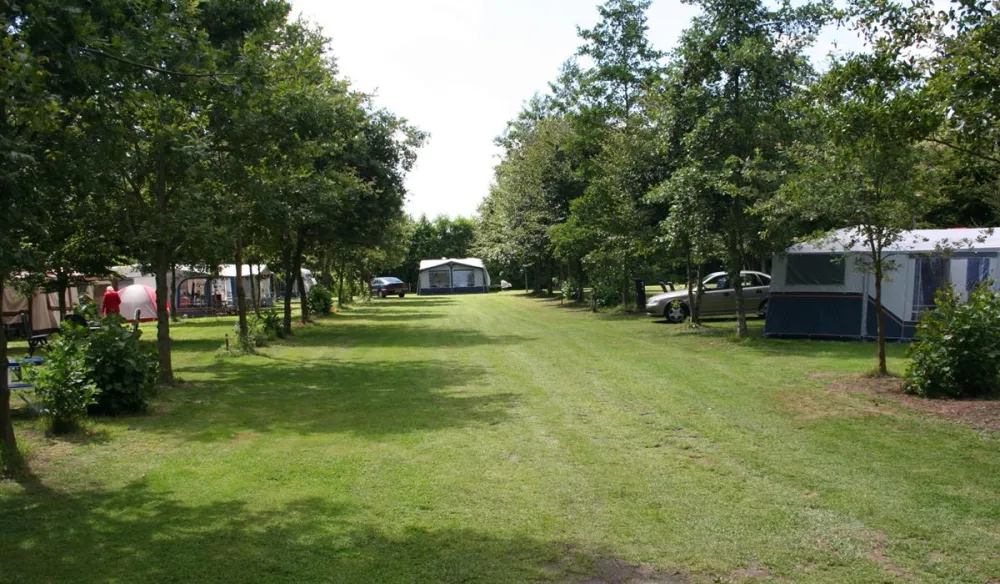 Camping De Drenthse Roos