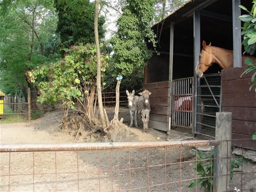 Campeggio Citta` di Milano