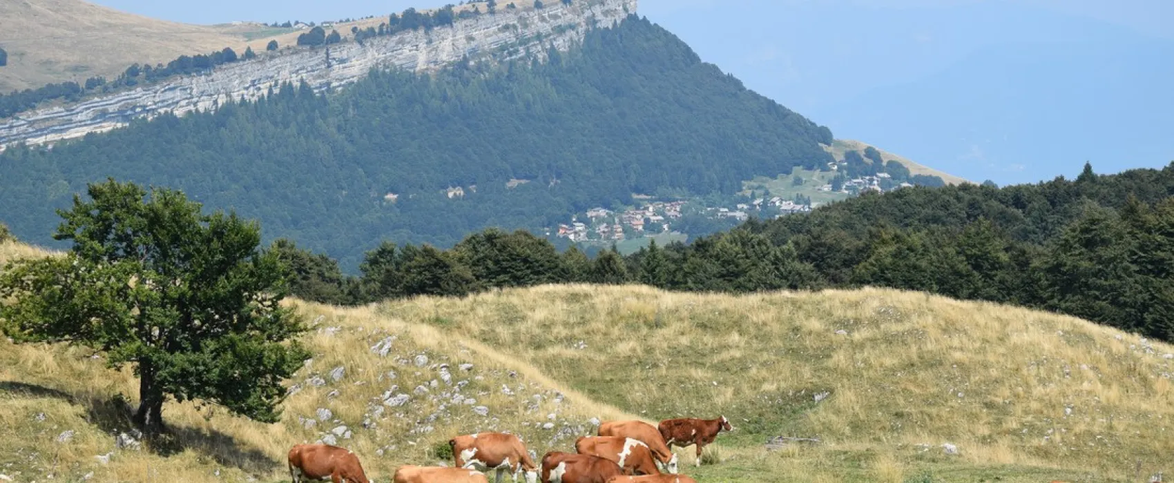 Camping Villaggio Tiglio