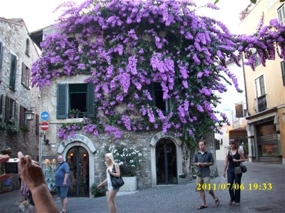 Camping Villaggio Tiglio