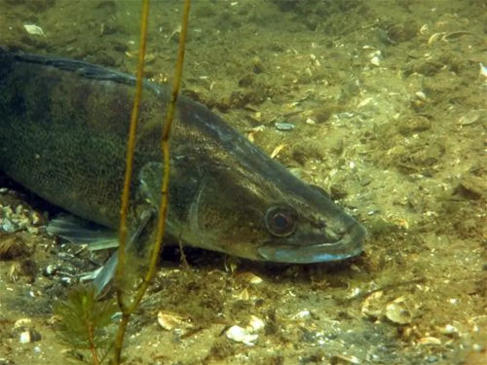 Touristenzentrum Zabakuck